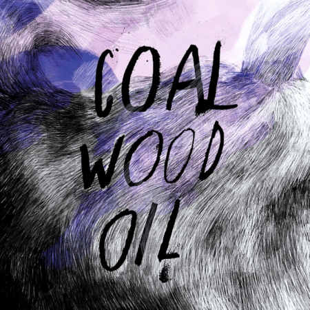 Auli Särkiö-Pitkänen ja Levyhyllyt • Ville Aslak Raasakka laittaa epämukavat totuudet soimaan • Coal, Wood, Oil [2024] •  Kuva: Ville Aslak Raasakka – Coal, Wood, Oil [SibaRecords 2024]